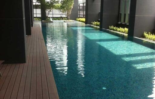 Modern 2 bedrooms condo for sale in Ekamai