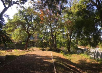 Land for sale in Rawai