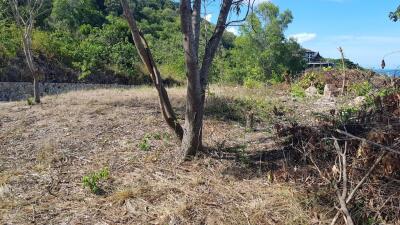 3 sea view plots for sale between Choeng Mon and Chaweng