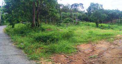 Beautiful Koh Samui sea view land for sale in Bophut