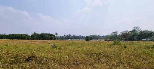 Great Land for Sale in East Pattaya