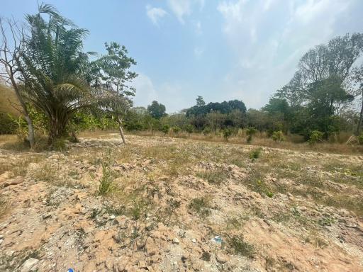 Land for Sale in Khao Ma Kok