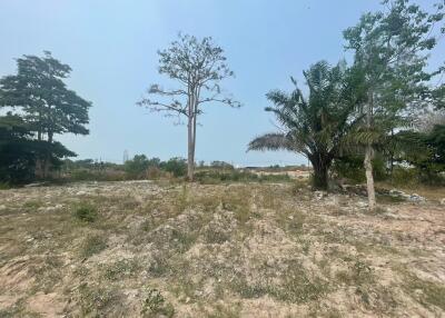 Land for Sale in Khao Ma Kok