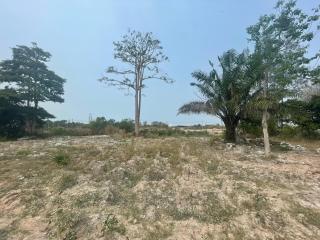 Land for Sale in Khao Ma Kok