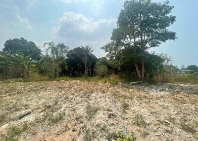 Land for Sale in Khao Ma Kok