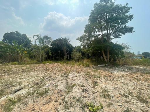 Land for Sale in Khao Ma Kok