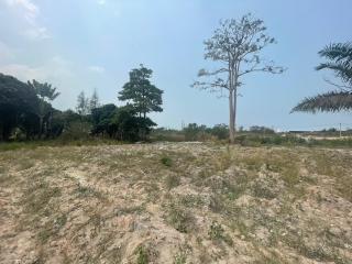 Land for Sale in Khao Ma Kok