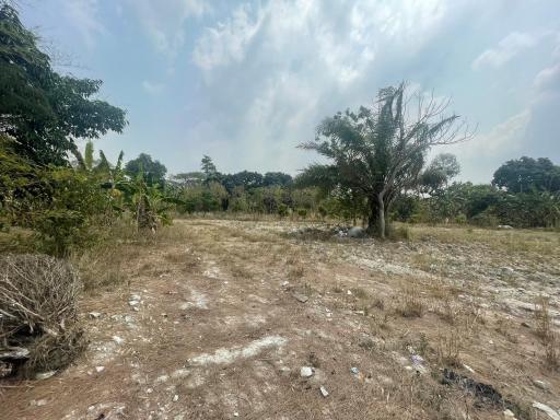 Land for Sale in Khao Ma Kok