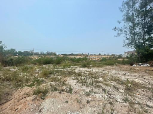 Land for Sale in Khao Ma Kok