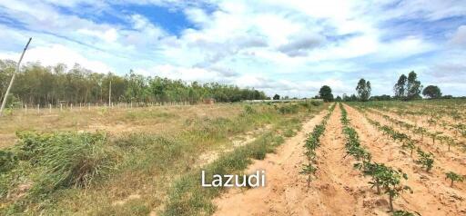 Land for Sale in Mabprachan Lake