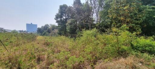 Land Plot 8Rai in Thappraya for Sale