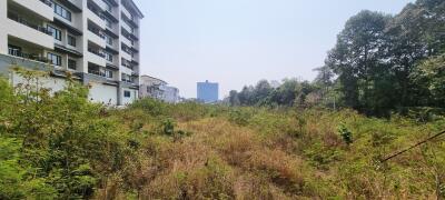 Land Plot 8Rai in Thappraya for Sale