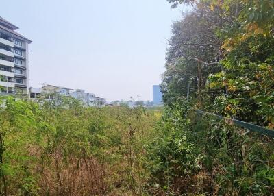 Land Plot 8Rai in Thappraya for Sale