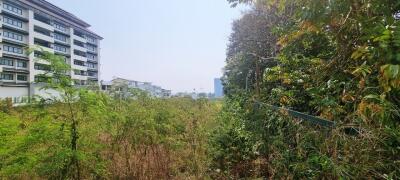 Land Plot 8Rai in Thappraya for Sale