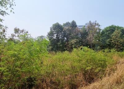 Land Plot 8Rai in Thappraya for Sale