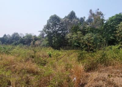 Land Plot 8Rai in Thappraya for Sale