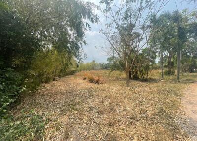 6Rai Land for Sale in Khao Ma Kok