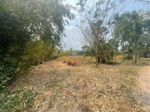 6Rai Land for Sale in Khao Ma Kok