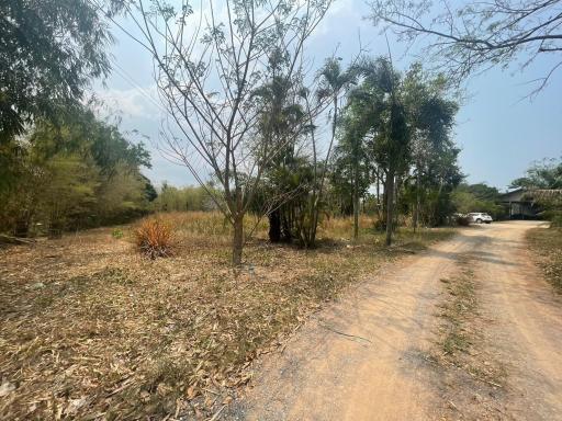 6Rai Land for Sale in Khao Ma Kok