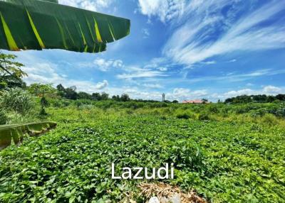11 Rai Beautiful Land Plot for in Pattaya Sale