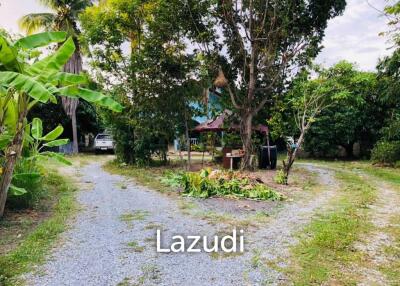 Land with House in Nong Mai Kaen for Sale