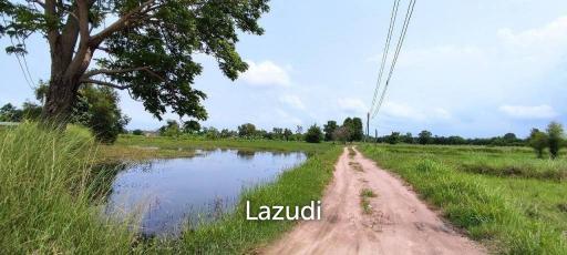 Land for Sale with tenant in Nong Pla Rai