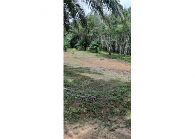 7,000 Sqm. Land listed for ฿ 13,650,000.