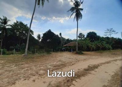 Great Land for Sale in Ban Amphur