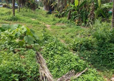 Land for sale in Huay Yai