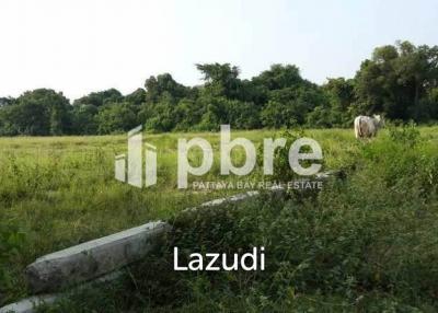 Land for sale Toongklom Talman