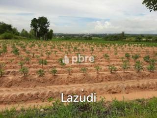 Land for sale 12 Rai in Takhian Tia