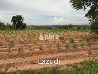 Land for sale 12 Rai in Takhian Tia