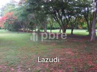 Large plot Land for sale in Ban Amphur