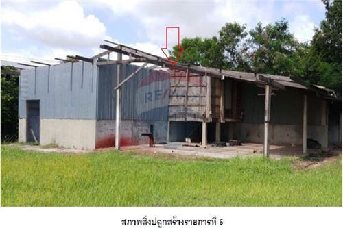 ขายบ้านพร้อมกิจการ อ.หัวตะพาน จ.อำนาจเจริญ S-NE-AC001