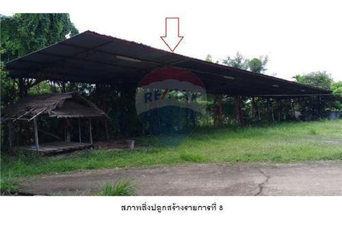 ขายบ้านพร้อมกิจการ อ.หัวตะพาน จ.อำนาจเจริญ