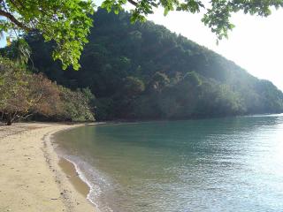 20 Rai Beachfront Land for Sale, Ko Yao Noi