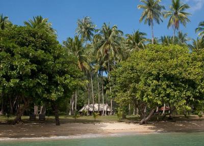 20 Rai Beachfront Land for Sale, Ko Yao Noi