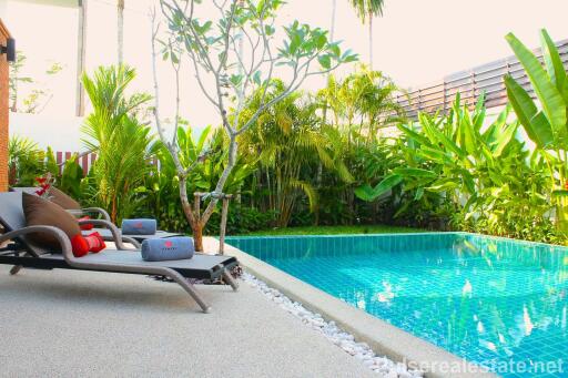 Boutique Resort for Sale in Phuket: 35% below market value, 15% ROI potential, 5 Pool Villas + Reception & Office