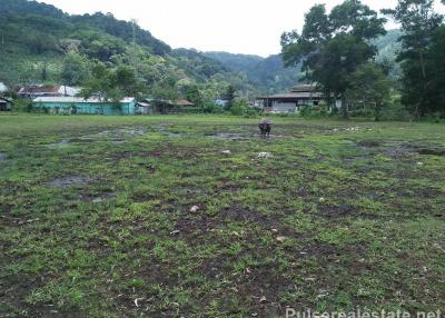 Commercial Land of 71 Rai for Sale in Kathu - International School, College, Mixed Business Use
