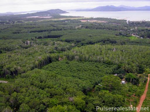 Large Sea View Land Plot for Sale in Phuket - 11.2 Rai - Ideal for Villa/Resort