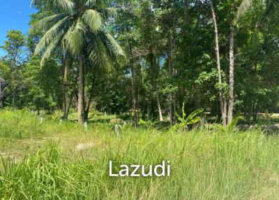 Prime 2,059 sqm Land in Central Koh Phangan: Your Ideal Secondary Residence or Development Opportunity