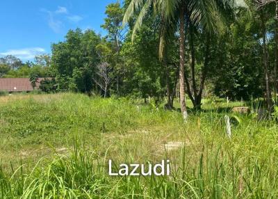 Prime 2,059 sqm Land in Central Koh Phangan: Your Ideal Secondary Residence or Development Opportunity
