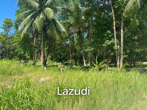 Prime 2,059 sqm Land in Central Koh Phangan: Your Ideal Secondary Residence or Development Opportunity