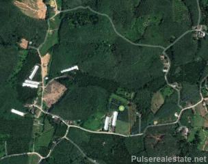 Secluded Land for Sale in Tha Yu, Phang Nga, Suitable for Agricultural Use, Cannabis Farm Etc.