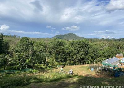 Secluded Land for Sale in Tha Yu, Phang Nga, Suitable for Agricultural Use, Cannabis Farm Etc.