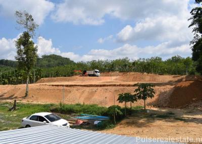 Secluded Land for Sale in Tha Yu, Phang Nga, Suitable for Agricultural Use, Cannabis Farm Etc.