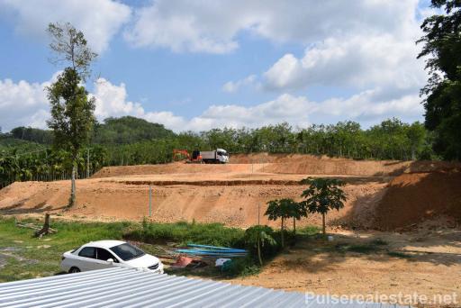 Secluded Land for Sale in Tha Yu, Phang Nga, Suitable for Agricultural Use, Cannabis Farm Etc.