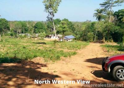 Land For Sale In Mai Khao, 800+ sqm, Ideal for Your Own Villa, Near Golf, Yachting And International School