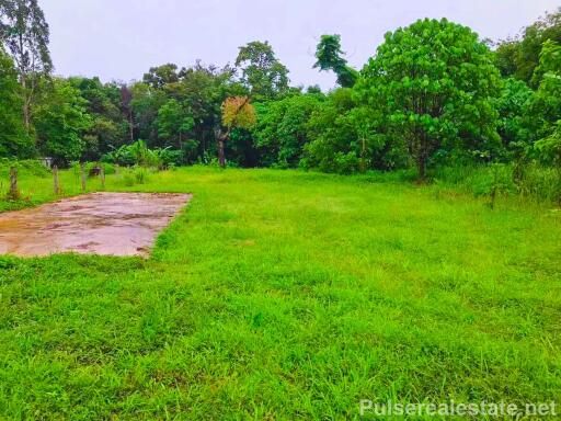 Land for sale in Ban Kuan, Thep Krasattri Subdistrict, Thalang District
