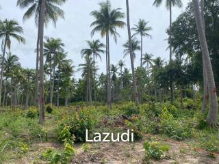 Land 1,000 SQ.M front road